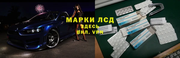 спиды Аркадак