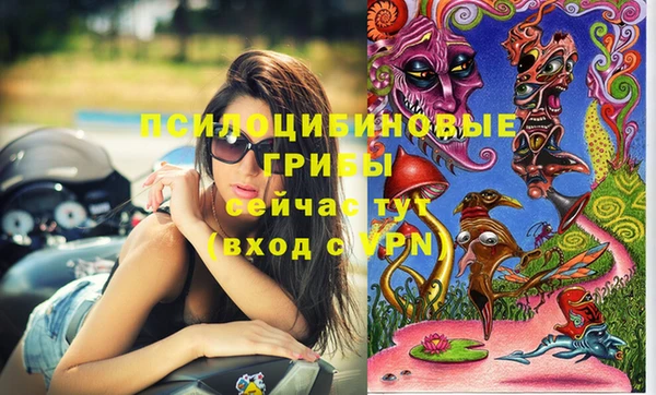 гидропоника Армянск