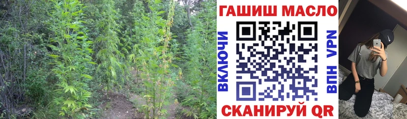 кракен онион Ясный ТГК жижа наркошоп