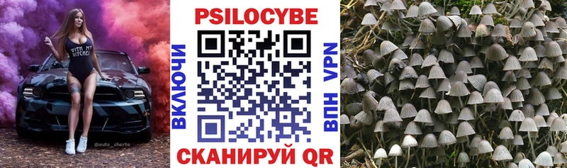 Галлюциногенные грибы Psilocybe  площадка Telegram  Ясный  hydra рабочий сайт 